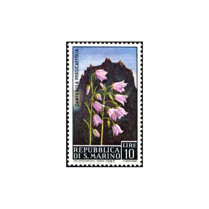Blumen - 3. Ausgabe Blumen - 3. Ausgabe