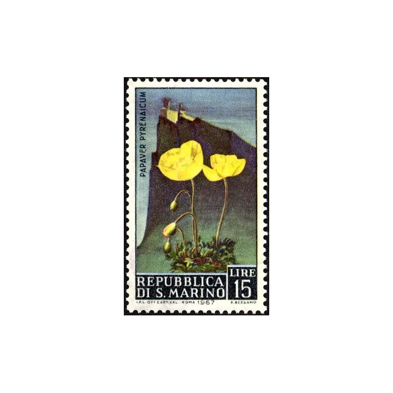 Blumen - 3. Ausgabe Blumen - 3. Ausgabe