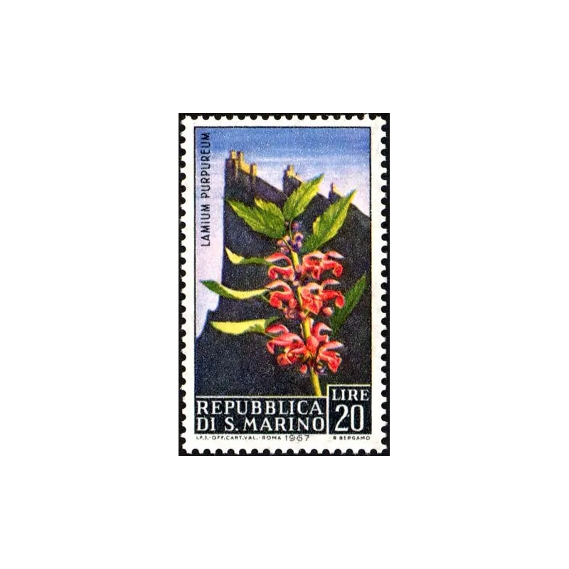Blumen - 3. Ausgabe Blumen - 3. Ausgabe