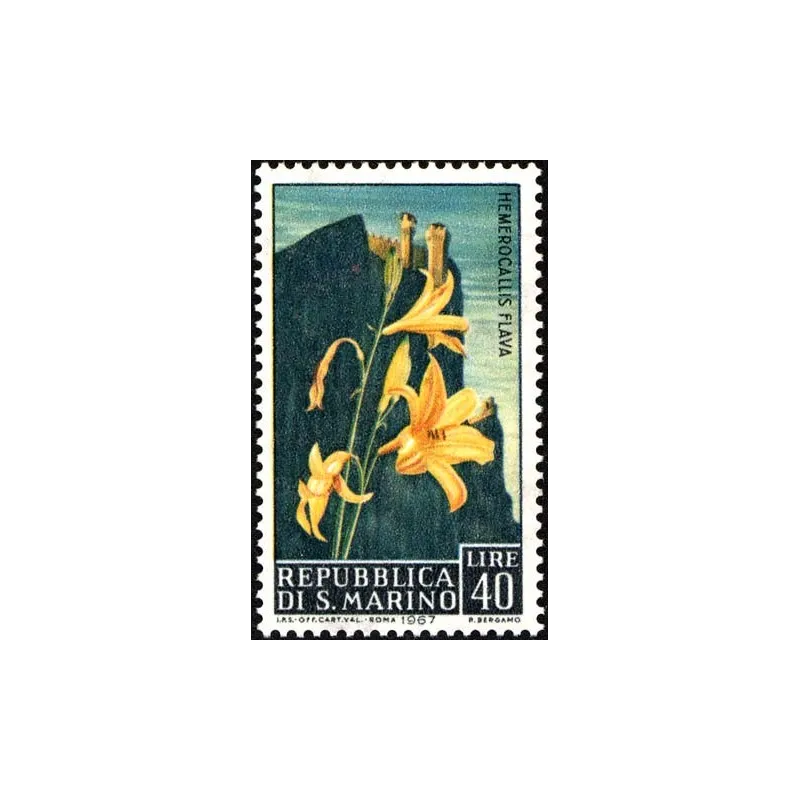 Blumen - 3. Ausgabe Blumen - 3. Ausgabe