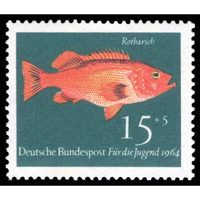 Norwegische Skorpion