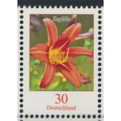 Emerocallide tigrato (Hemerocallis fulva)