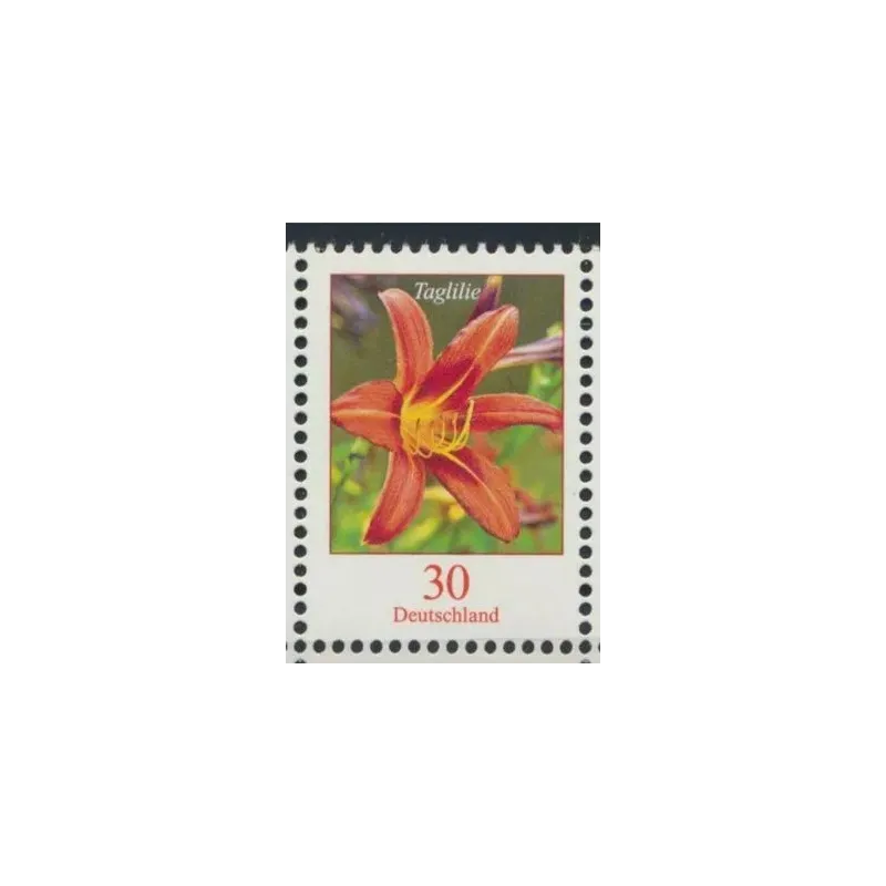 Emerocallide tigrato (Hemerocallis fulva)