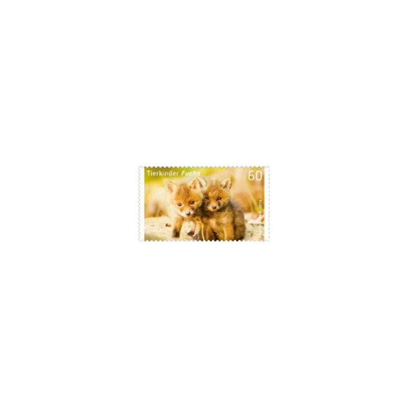 Roter Fuchs (Vulpes vulpes)