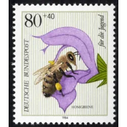 Ape mellifera (Apis mellifera)
