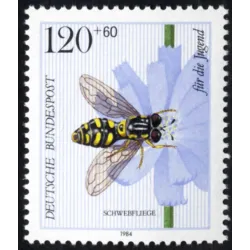 Sírfidos (Chrysotoxum festivum)