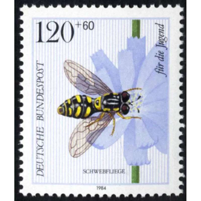 Sírfidos (Chrysotoxum festivum) Sírfidos (Chrysotoxum festivum)