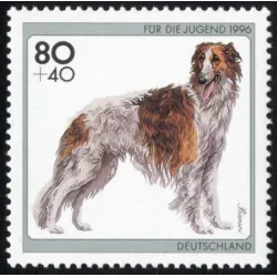 Barsoi