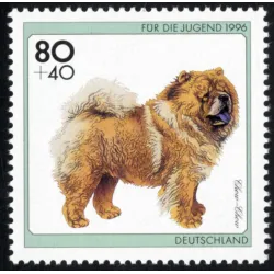 Chow-Chow