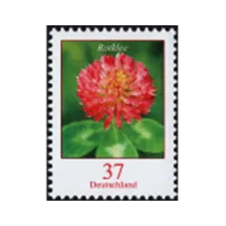 Red clover