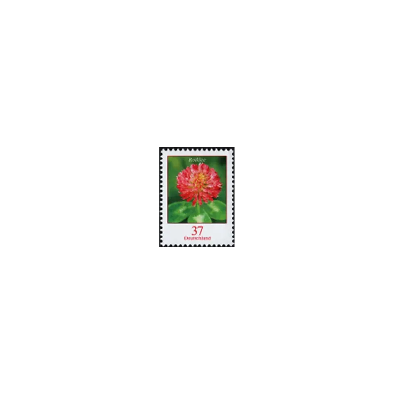 Red clover