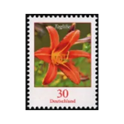 Emerocallide tigrato (Hemerocallis fulva)