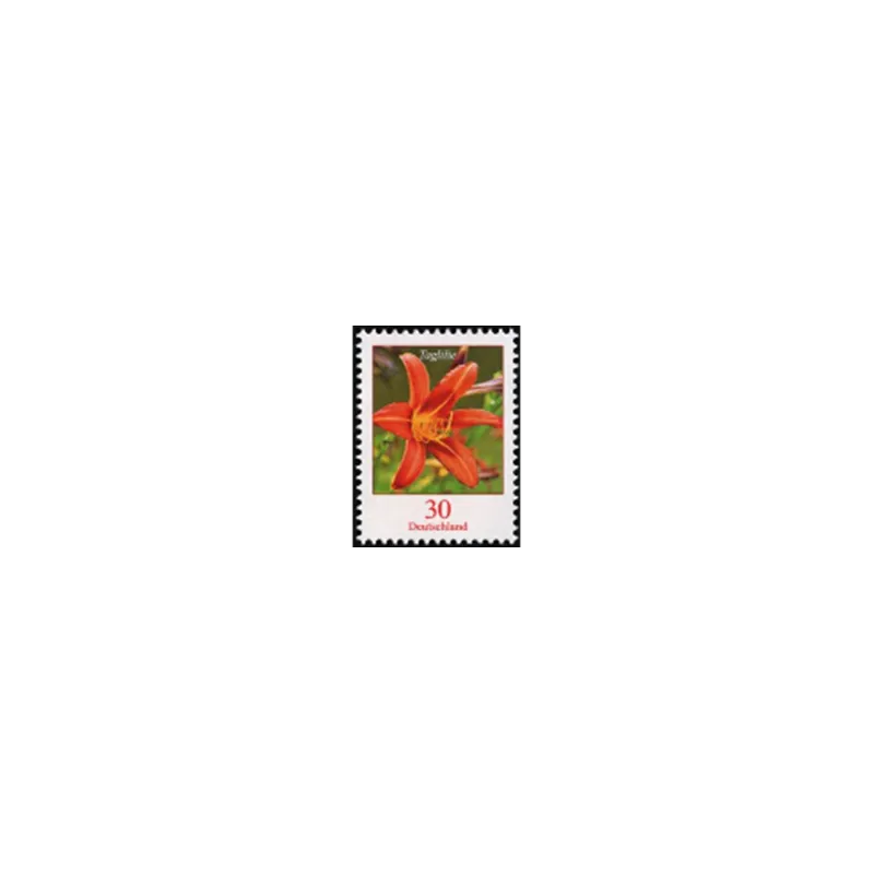 Hemerocallide tigrate (Hemerocallis fulva) Hemerocallide tigrate (Hemerocallis fulva)