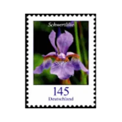 Iris xiphium (Giglio spada)