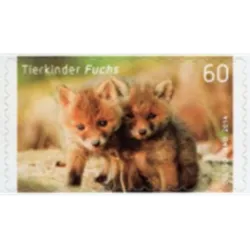Roter Fuchs