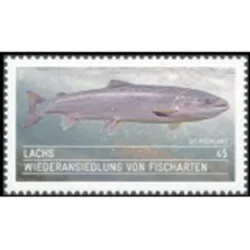 Salmone atlantico