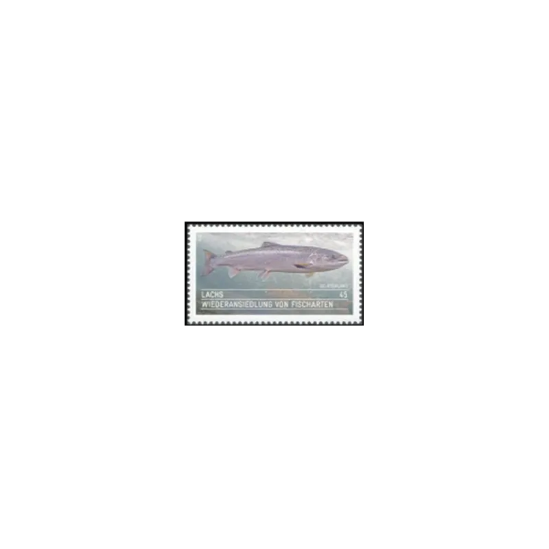 Salmone atlantico