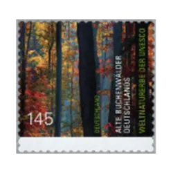 The old beech forests of Germany